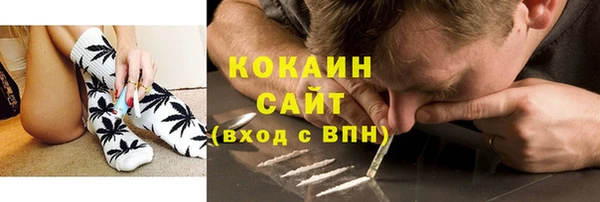 мет Алексин