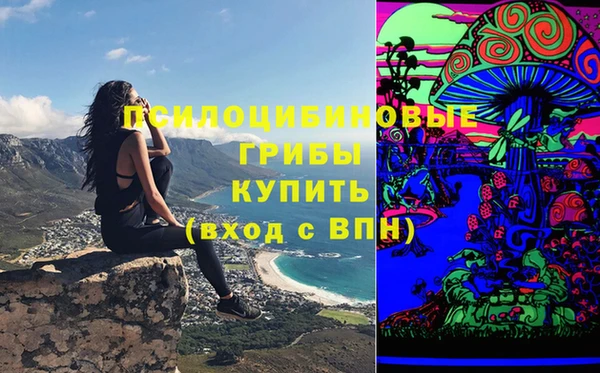 спайс Алексеевка
