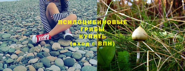мет Алексин