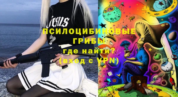 мет Алексин