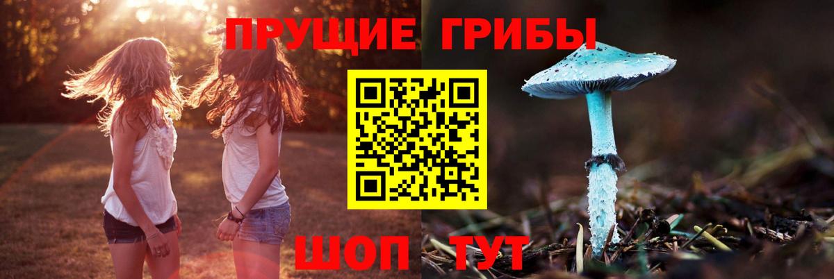 Усолье-Сибирское  купить  цена  Вход с VPN  Галлюциногенные грибы Magic Shrooms  Псилоцибиновые грибы Psilocybine cubensis 